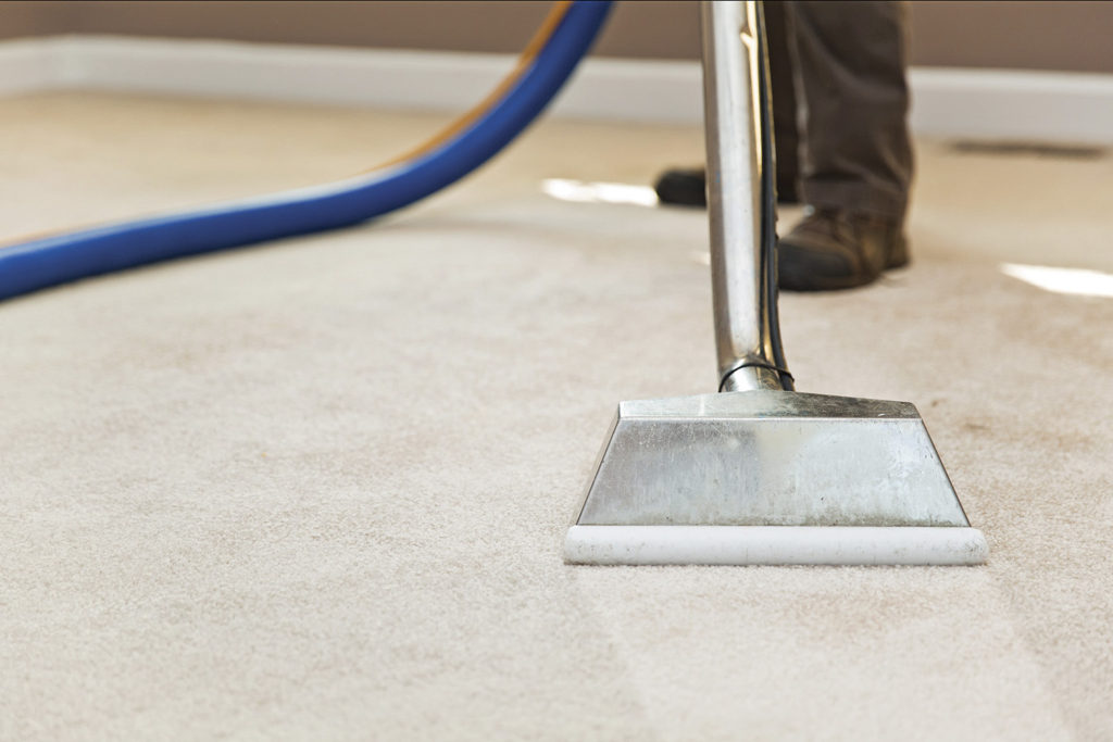 CARPET SHAMPOO & STEAM CLEANING